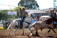 QueanbeyanRodeo2016_4138