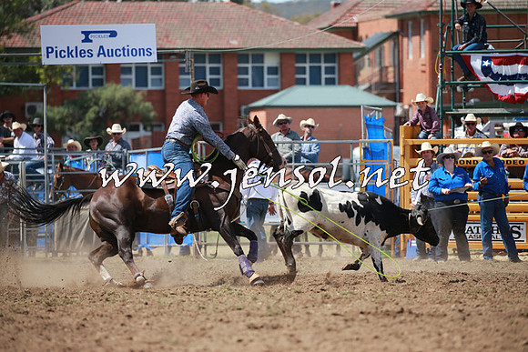 QueanbeyanRodeo2016_5712