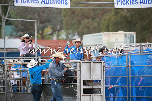 QueanbeyanRodeo2016_6617