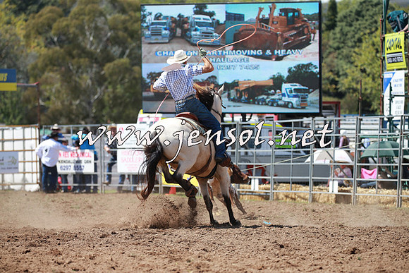 QueanbeyanRodeo2016_5126