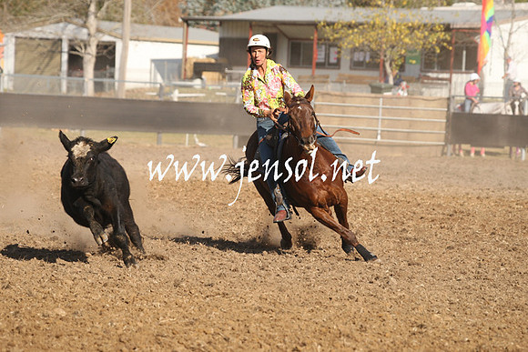 MossValeCampdraft2013_1104
