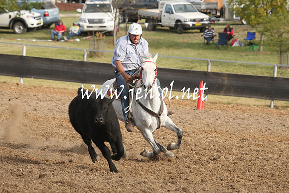 MossValeCampdraft2013_1198
