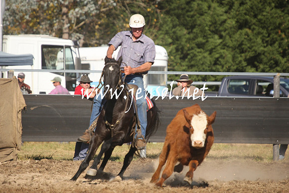 MossValeCampdraft2013_1091