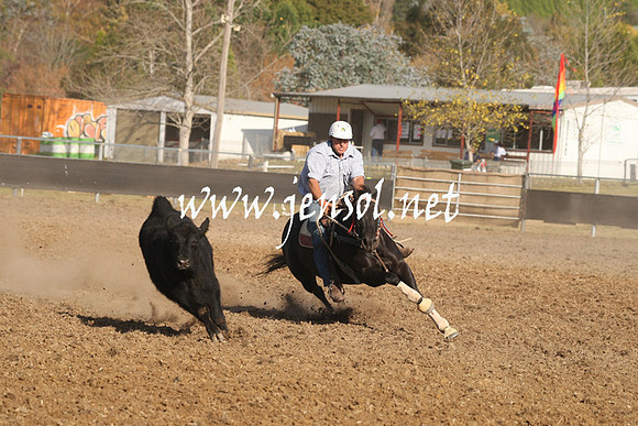 MossValeCampdraft2013_1138
