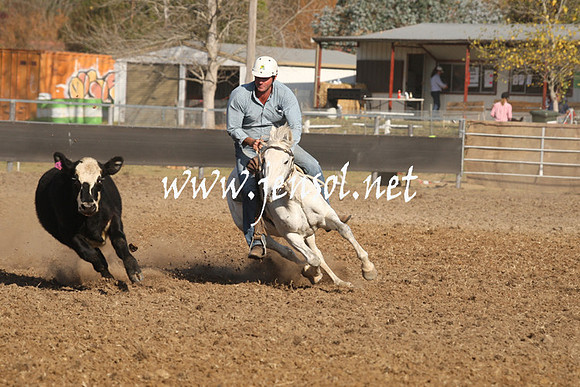 MossValeCampdraft2013_1119