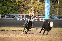MossValeCampdraft2013_0990