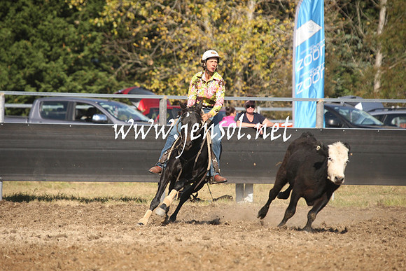 MossValeCampdraft2013_0990