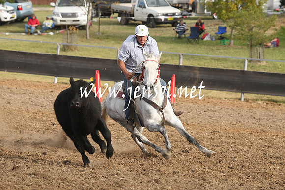 MossValeCampdraft2013_1199