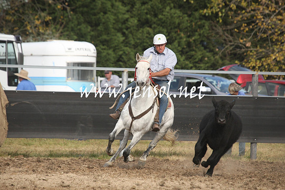 MossValeCampdraft2013_1191
