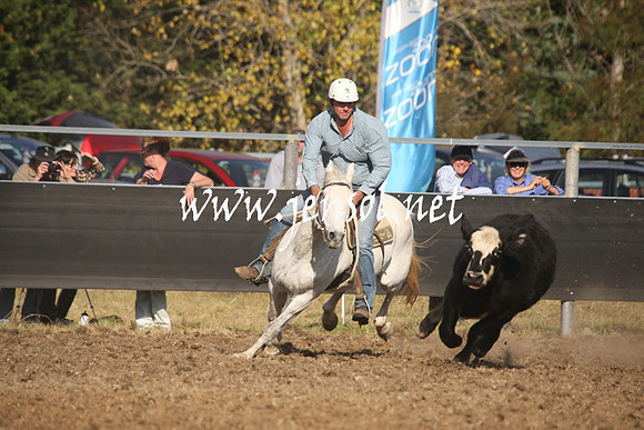 MossValeCampdraft2013_1117