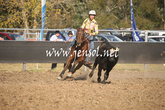 MossValeCampdraft2013_1099