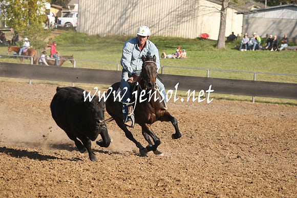 MossValeCampdraft2013_1059