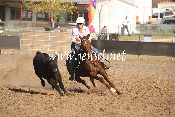 MossValeCampdraft2013_1110