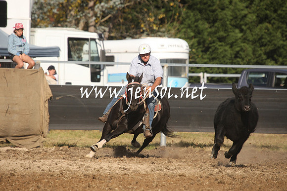 MossValeCampdraft2013_1132