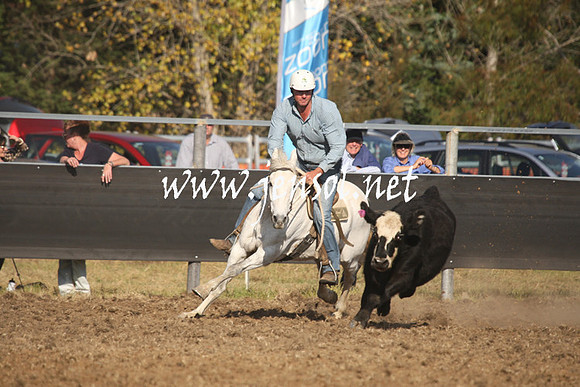 MossValeCampdraft2013_1113