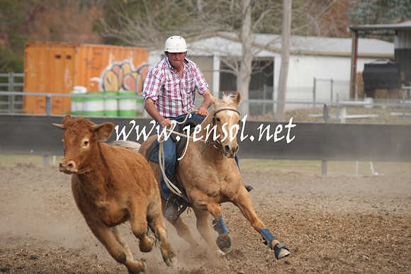 MossValeCampdraft2013_1189