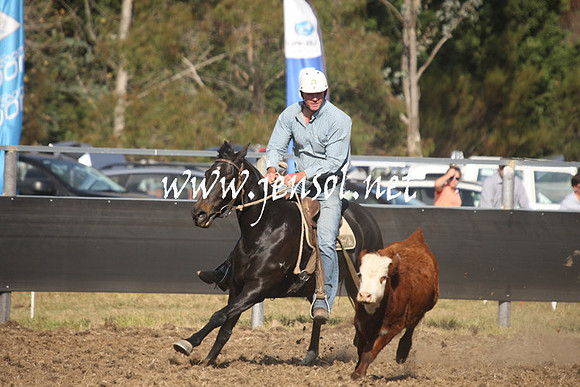 MossValeCampdraft2013_0972
