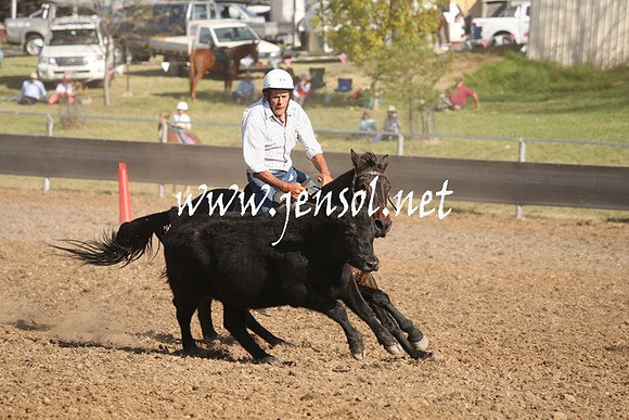 MossValeCampdraft2013_1008