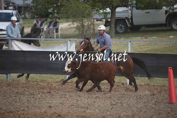 MossValeCampdraft2013_1168