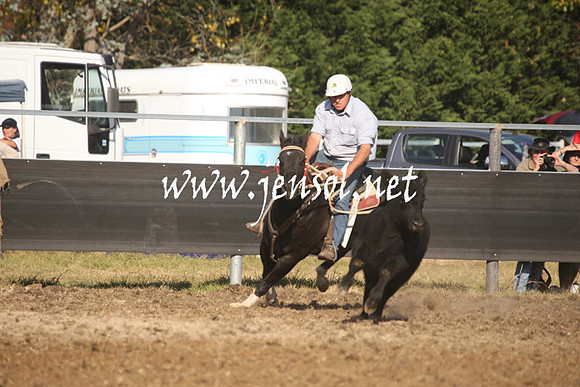 MossValeCampdraft2013_1129