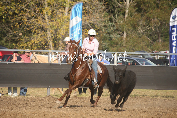 MossValeCampdraft2013_1109