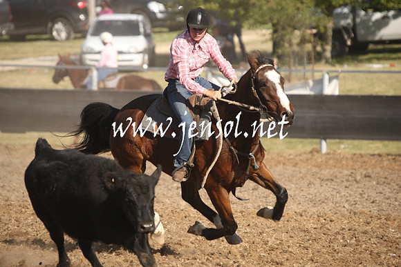 MossValeCampdraft2013_1036