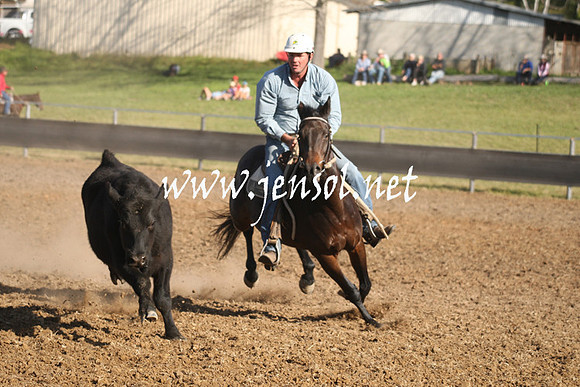 MossValeCampdraft2013_1062