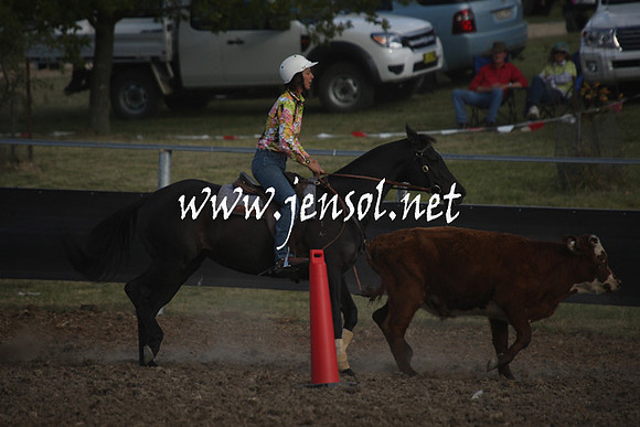 MossValeCampdraft2013_1159