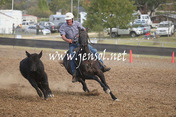 MossValeCampdraft2013_1182