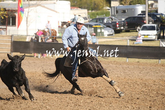 MossValeCampdraft2013_1082