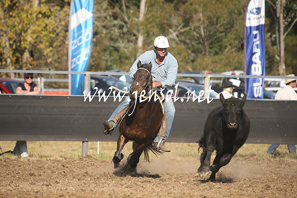 MossValeCampdraft2013_1054