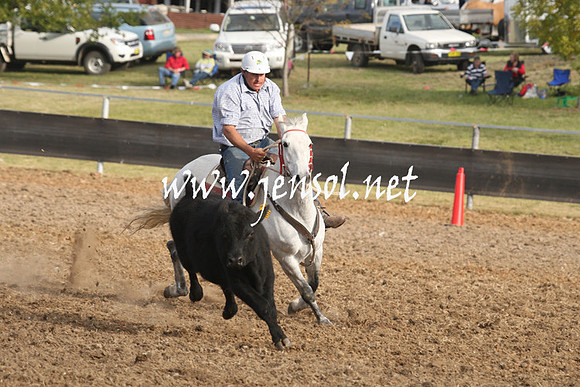 MossValeCampdraft2013_1196
