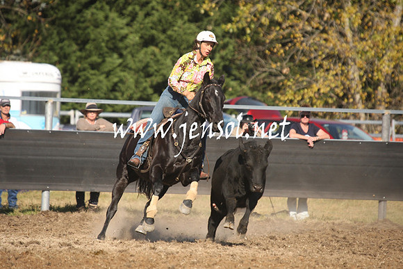 MossValeCampdraft2013_1070