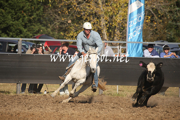 MossValeCampdraft2013_1115