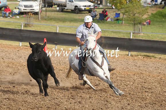 MossValeCampdraft2013_1197