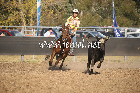 MossValeCampdraft2013_1101
