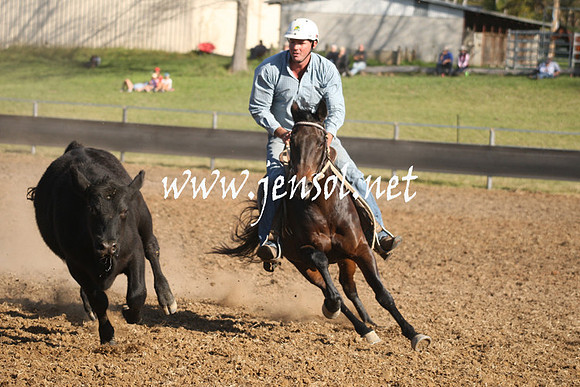 MossValeCampdraft2013_1064