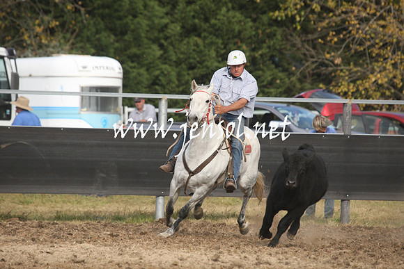 MossValeCampdraft2013_1192