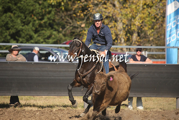 MossValeCampdraft2013_1044