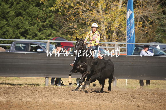 MossValeCampdraft2013_1067