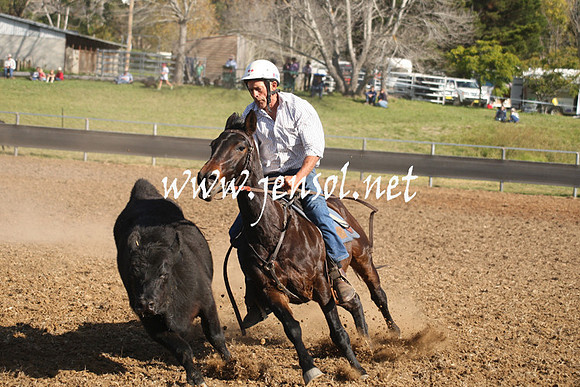 MossValeCampdraft2013_1015