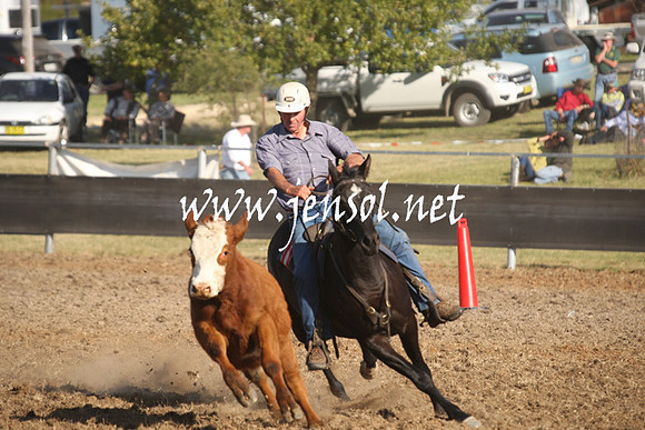 MossValeCampdraft2013_1097