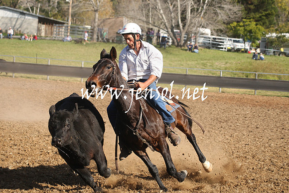 MossValeCampdraft2013_1012
