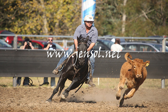 MossValeCampdraft2013_0959