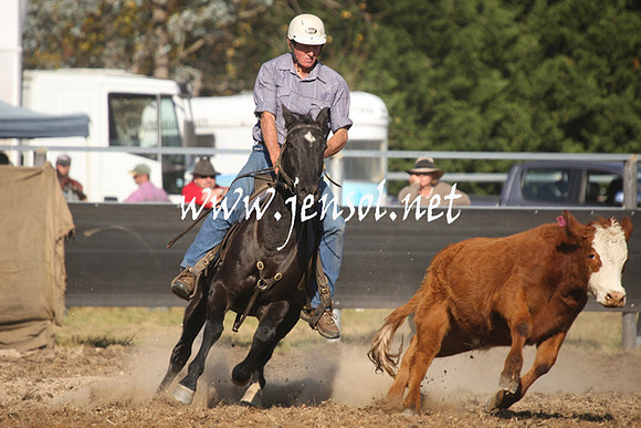 MossValeCampdraft2013_1092