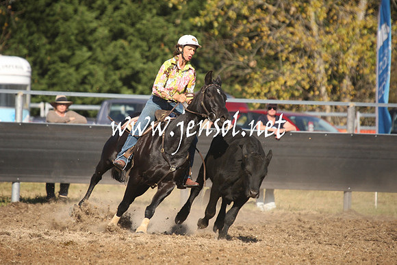 MossValeCampdraft2013_1072