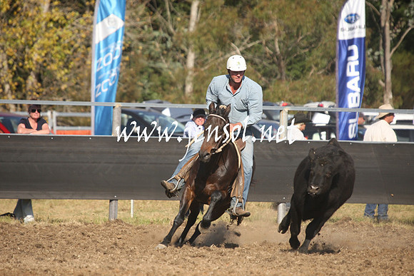 MossValeCampdraft2013_1053