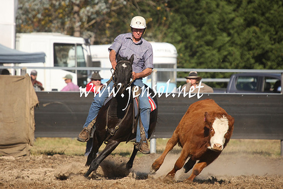 MossValeCampdraft2013_1093