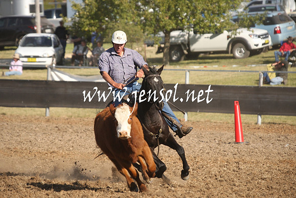 MossValeCampdraft2013_1095