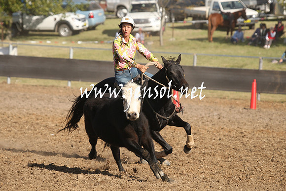 MossValeCampdraft2013_0992